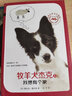 牧羊犬杰克 2 我想有個(gè)朋友 幼兒圖書(shū) 早教書(shū) 故事書(shū) 兒童書(shū)籍 曬單實(shí)拍圖