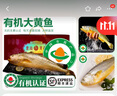 太湖?！居袡C無(wú)抗大黃魚(yú)】鮮活黃花魚(yú)冰鮮冷凍深海水產(chǎn)野化魚(yú)類(lèi)中秋禮盒 現捕-禮盒裝（1.4-1.6斤/條） 曬單實(shí)拍圖