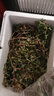 馬齒莧菜新鮮野生馬莧菜長壽菜野菜馬蜂菜五行蔬菜發(fā)應(yīng)季 1500g 曬單實拍圖