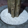 50斤白色石子石头大鹅卵石庭院铺路铺地小白石花园造景景观白石子 50斤白石子1-2cm 实拍图