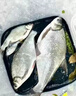 祥釣翁鳊魚(yú)專(zhuān)用餌料專(zhuān)釣武昌魚(yú)扁魚(yú)餌料濃腥特腥魚(yú)餌夏季通殺釣鳊魚(yú)餌料 【1包裝】 曬單實(shí)拍圖