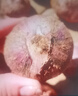 秋穎獨頭蒜種子大蒜獨蒜頭紫蒜籽紅皮蒜種子2024【抗病獨頭蒜種子】 當季好種約800?！惊氼^蒜】種子 曬單實拍圖