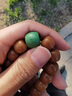 如萃緣菩提手串男士文玩飾品本命像手鏈轉(zhuǎn)運(yùn)納福禮品十二生肖手鏈禮物 普賢-龍蛇-手圍17-19cm 曬單實(shí)拍圖