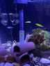 聚創(chuàng  )麒魚(yú)缸進(jìn)水口過(guò)濾網(wǎng)套不銹鋼水泵過(guò)濾器防蝦網(wǎng)套換水魚(yú)蝦隔離網(wǎng)套 黑色大號(內徑16mm) 曬單實(shí)拍圖
