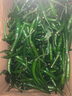 山間果好廣西頭茬新苗新鮮青朝天椒小米辣椒青米辣椒特辣現(xiàn)摘整箱速發(fā) 青小米辣 5斤 曬單實拍圖