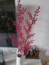 清雅（qingya）發(fā)財果仿真花擺設紅色漿果紅果冬青果紅果裝飾 6叉紅果[6-8枝爆瓶 12叉加粗紅果(4-5枝爆瓶] 曬單實(shí)拍圖