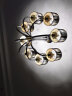 雷士照明（NVC） led灯泡e14小螺口尖泡 高亮节能 家用客厅餐厅吊灯水晶灯蜡烛泡 9W E14 暖白光 十只装 实拍图