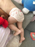 G.DUCKKIDS小黃鴨兒童內(nèi)褲男女童三角褲嬰幼兒寶寶面包褲小女孩短褲不夾PP 萌趣公主 (買3贈1 實發(fā))- 4條 100 (適合體重18-23斤)- 曬單實拍圖