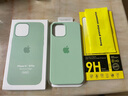 銀悅（YINYUE） iphone12promax手機殼液態(tài)硅膠無(wú)線(xiàn)充電磁吸動(dòng)畫(huà)蘋(píng)果12防摔全包保護 開(kāi)心果色 12無(wú)線(xiàn)充電+磁吸動(dòng)畫(huà) 曬單實(shí)拍圖