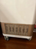 艾森仕（AirESH）80S加強除裝修污染空氣凈化器除甲醛寵物異味TVOC汽車(chē)尾氣二手煙苯系氣體除霾除菌家用辦公商用 80S高效濾網(wǎng) 曬單實(shí)拍圖