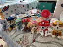 汪汪隊(duì)立大功（PAW PATROL）汪汪隊(duì)毛絨玩具狗狗天天玩偶公仔娃娃擺件男女孩七夕情人節(jié)禮物 7只經(jīng)典款-小號(hào)毛絨 小號(hào)-坐高15.2CM 曬單實(shí)拍圖