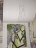 芭蕾小精靈安吉莉娜系列全套12冊 2-3-4-5-6歲幼兒園中大班圖書幼兒繪本閱讀親子幼兒園故事書睡童書節(jié)兒童節(jié) 二十一世紀出版社 曬單實拍圖