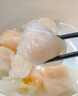 鮮當(dāng)家蝦餃皇50只水晶蝦餃港式廣式點(diǎn)心早茶紅米腸水晶蝦餃d 【嘗鮮裝】水晶蝦餃25只(500g) 曬單實(shí)拍圖