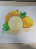 溫莎牛頓 歌文水彩顏料 固體水彩 戶外寫(xiě)生水彩繪畫(huà)顏料 16色半塊豪華套裝美術(shù)寫(xiě)生 曬單實(shí)拍圖