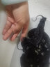 莫代爾情器內(nèi)衣情緒qqny性感蕾絲鏤空誘惑開檔睡衣女純欲連體衣開襠女裝 黑色[連體衣] 均碼[推薦80-130斤]保密發(fā)貨 曬單實(shí)拍圖