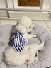 寵星記 寵物衣服 中小型犬貓 可愛卡通背心 冬季居家防飄毛 泰迪比熊 條紋小熊 大號XL碼 胸圍42-46cm 曬單實拍圖