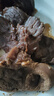 周家口傳統醬牛肉即食熟牛肉零食河南周口鹵牛肉特產(chǎn)中秋禮盒130克x6袋 曬單實(shí)拍圖