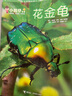 【正版】東方寶寶雜志2025年1-10月新（2026全年/半年訂閱）智力/繪本/寶寶玩創(chuàng  )意官方旗艦店?yáng)|方娃娃嬰兒版0-4歲非過(guò)刊 【半年訂閱】25年7-12月 曬單實(shí)拍圖