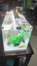 長(zhǎng)銳（CHANGRUI）側(cè)濾魚缸桌面辦公室免換水生態(tài)水草超白水族箱 K600豪華版【長(zhǎng)63 寬27 高35】 曬單實(shí)拍圖