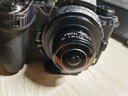 LAOWA老蛙 4mm F2.8 210°圓周視角 相機(jī)半畫(huà)幅微單魚(yú)眼鏡頭 M43 黑色 尼康微單Z卡口半畫(huà)幅 曬單實(shí)拍圖