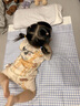 良良嬰兒涼席竹纖維抑菌冰絲涼席新生兒寶寶竹絲涼席兒童幼兒園午睡席 NEW-格佑-升級(jí)竹絲席-藍(lán) 110*60cm 曬單實(shí)拍圖