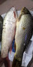 富源百川大物線組綁好的線組魚線主線組成品組合套裝水庫青鱘巨物釣大魚 2卷裝 8.5米 -巔覆大物線組 8號 曬單實(shí)拍圖