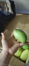 帆儿庄园  新鲜水果大青芒新鲜水果批发青芒果当季新鲜水果 约4.5kg 实拍图