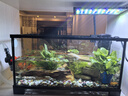西游水族烏龜缸超白玻璃生態(tài)造景龜魚(yú)缸一體混養生態(tài)缸客廳專(zhuān)用家用飼養缸 40原生溪流豪華全套【缸+DIY造景+設備】 曬單實(shí)拍圖