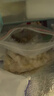 龍翔騰觀賞魚食冷凍冰凍魚飼料魚糧龍魚虎魚魟魚喂魚缸養(yǎng)魚速凍蝦仁 薄冰蝦仁2斤【頂別家裹冰3斤】嘗鮮不劃算 曬單實拍圖