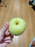 壹萌果蔬青蘋(píng)果新鮮現摘酸甜蘋(píng)果應季陜西孕婦水果整箱發(fā)出 至臻5斤老樹(shù)果丨60MM+ 凈4.5斤 曬單實(shí)拍圖
