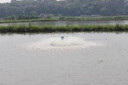 ZHIO魚(yú)塘增氧機葉輪式增氧泵大功率養殖大型魚(yú)池打氧養殖浮水泵氧氣泵 750W-380V-加厚塑料葉輪 曬單實(shí)拍圖