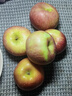 慧供蘋(píng)果正宗產(chǎn)地直發(fā)洛川奶油富士棲霞蘋(píng)果新鮮當季脆甜水果禮盒送禮 洛川8.5斤大果禮箱款【80-85mm】 曬單實(shí)拍圖