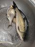 中西釣線(xiàn) 青鋒魚(yú)線(xiàn) 大物釣魚(yú)線(xiàn) 巨青尼龍線(xiàn)巨鯉巨草魚(yú)強(qiáng)勁拉力漁線(xiàn)臺(tái)釣線(xiàn) 子線(xiàn)4.0 曬單實(shí)拍圖