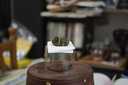 中一（zhongyi） 中一光學 35mm f2.0單反微單廣角全畫幅大光圈手動定焦相機鏡頭 賓得口-銀色 標配 曬單實拍圖