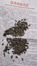 壽禾 觀賞向日葵種子盆栽種植矮生多頭秋冬季太陽花花籽花葵花種 （毛絨感）玩具熊向日葵種子 10g 曬單實(shí)拍圖