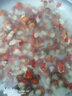 順豐直達龍蝦尾特大龍蝦尾一整箱蝦尾龍蝦尾新鮮 250g/4包裝送炒料 曬單實(shí)拍圖