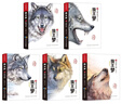 狼王夢(mèng)完整版全套5冊沈石溪動(dòng)物小說(shuō)畫(huà)本小學(xué)生四五六年級課外閱讀書(shū)籍兒童文學(xué)經(jīng)典讀物  曬單實(shí)拍圖