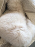哲詩(shī)凡綿羊皮真皮羽絨服女短款2025冬季新款狐貍毛皮草壓花海寧皮衣外套 米白色 XL 115斤--125斤 曬單實(shí)拍圖