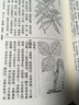 植物名實(shí)圖考整理本全二冊繁體豎排 附植物名稱(chēng)、人名、地名、引書(shū)索引 吳其濬著(zhù) 中華書(shū)局正版書(shū)籍中醫古籍植物學(xué)著(zhù)作植物圖集 曬單實(shí)拍圖