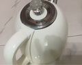山水（SANSUI）燒水壺電熱水壺家用大容量304不銹鋼復(fù)古燒水壺泡茶壺一體式快燒壺 1.7L 復(fù)古白 曬單實拍圖