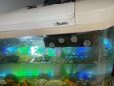 魚(yú)之眼魚(yú)缸燈led燈防水造景燈水族燈照明燈氣泡條燈管水族箱增氧氣泡燈 100cm 七彩漸變款 不帶氧氣泵 曬單實(shí)拍圖