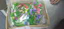 酒店擺盤裝飾花草冷菜拼盤小擺件特色菜刺身壽司料理圍邊點(diǎn)綴盤飾 35種不同的花【低中高都有】 曬單實(shí)拍圖