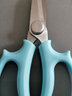 九千谷花藝剪刀園藝工具修枝剪枝家用鮮花插花盆栽專(zhuān)用花卉綠植藍色3231 曬單實(shí)拍圖