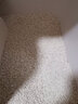 蘇茂（SOMORE）貓砂豆腐貓砂 10kg吸水除臭豆腐快速結(jié)團(tuán)植物貓砂大包裝可沖廁所 水蜜桃10KG 曬單實(shí)拍圖