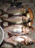 onokazu魚輪超大18軸紡車輪金屬漁輪海釣船釣海竿輪大物魚線輪遠(yuǎn)投錨魚輪 【深線杯】12000型 曬單實(shí)拍圖