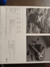 米家小米筋膜槍Pro 健身肌肉放松按摩器35kg強(qiáng)勁推力高頻震動(dòng) 米家筋膜槍Pro 曬單實(shí)拍圖