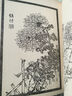 中國古代經(jīng)典畫(huà)譜集成 三希堂畫(huà)寶 梅蘭竹菊卷（套裝全14冊） 曬單實(shí)拍圖