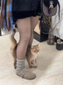 JTTCAC日本大碼光腿神器女秋冬裸感黑透膚連褲襪胖mm200斤假透肉水光襪 200克秋冬磨毛黑透膚連襪 1條 加大碼（130-200斤） 曬單實(shí)拍圖