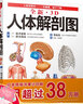 全新3D人體解剖圖 曬單實(shí)拍圖