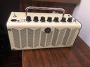 雅馬哈（YAMAHA）THR10II吉他音箱THR30WL充電便攜式藍牙彈唱電木吉他音響THR5 THR5【電吉他+可電池供電+10W】 曬單實拍圖